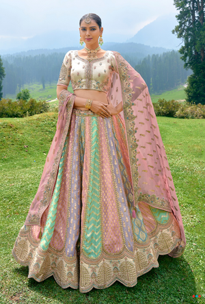 Multicolour Lehenga Choli