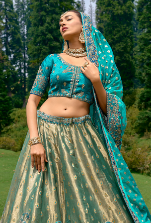 Blue Lehenga Choli